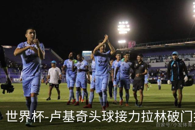 世界杯-卢基奇头球接力拉林破门扳平 加拿大1-1波黑